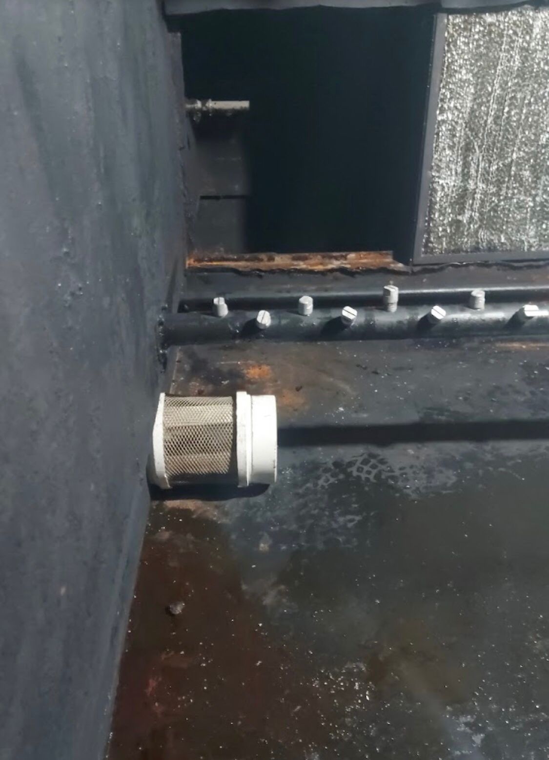 WhatsApp Image 2025-07-09 at 00.39.06